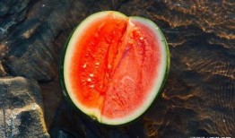 延后性吃瓜,揭秘网络热议背后的心理现象