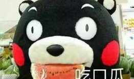 吃瓜可以怎么形容,吃瓜群众视角下的社会百态