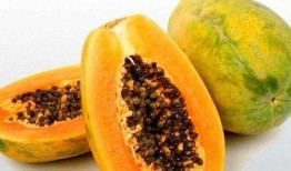 梦到吃瓜很好吃,瓜果飘香，美味尽享