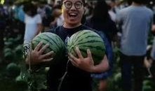 学校浴室吃瓜事件,吃瓜事件背后的真相与反思