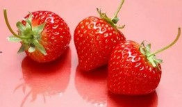 孕期冬季吃麒麟瓜草莓,麒麟瓜与草莓的甜蜜邂逅
