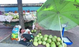 吃瓜群众河美,吃瓜群众的视角解读