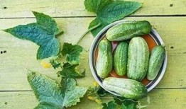 今年怎么天天吃瓜,瓜田里的娱乐圈风云录