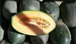 孩子咳可以吃哈密瓜吗,哈密瓜是适宜的水果选择吗？