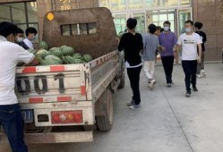 魏县吃瓜新闻事件,一场引发全民热议的“瓜田风波”