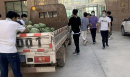 魏县吃瓜新闻事件,一场引发全民热议的“瓜田风波”