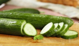 豆子吃瓜链接,揭秘豆子与瓜的奇妙缘分