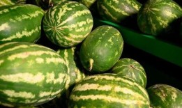 腾冲边境吃瓜事件,一场引发热议的网络风波