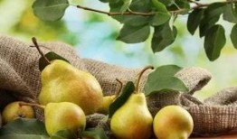 文水体委吃瓜,吃瓜群众眼中的风云变幻