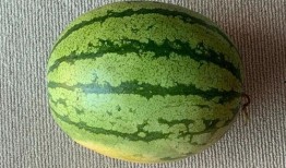 老外吃瓜机器,全球视角下的娱乐现象解析