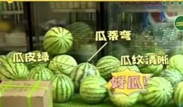 扮瓜吃瓜,揭秘网络热词背后的趣味与智慧