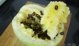 胃病睡前吃籽瓜行吗,适宜与否探讨