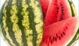 今年怎么天天吃瓜,瓜田里的娱乐圈风云录