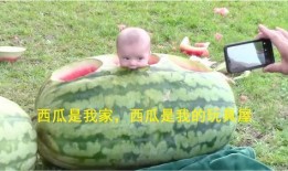 吃瓜玩具屋,趣味盎然的世界之旅