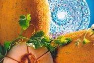 冬天吃哈密瓜文案,哈密瓜的冬季美味之旅