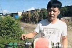 电钻吃瓜意思,揭秘电钻在瓜田里的神奇用途