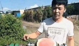 电钻吃瓜意思,揭秘电钻在瓜田里的神奇用途