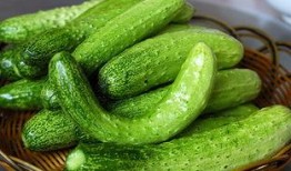 陈大业吃瓜,揭秘娱乐圈的“瓜田”风云