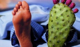 痛风可吃白瓜,白瓜助力健康饮食