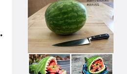 吃瓜炫酷图片,揭秘吃瓜达人背后的精彩故事