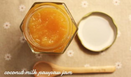 椰奶吃瓜酱,夏日清凉美食新体验