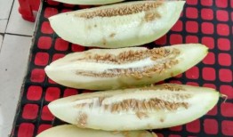 中和园吃瓜,夏日消暑美食之旅