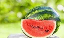 夏天可以在家吃瓜吗,尽享清凉瓜果时光