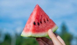 吃瓜打卡地,吃瓜群众的美食天堂