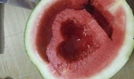 吃瓜炫酷图片,揭秘吃瓜达人背后的精彩故事