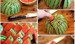 吃瓜的旋律,跟随吃瓜旋律探寻夏日清凉