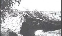 江山吃瓜,探寻美食背后的故事与风情