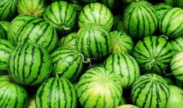 吃瓜被爆,揭秘网络红人的崛起之路