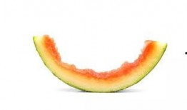 吃瓜好教程,轻松掌握瓜界秘籍，畅享美食盛宴