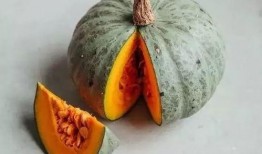 吃方瓜吧,吃方瓜吧，解锁健康美味新体验