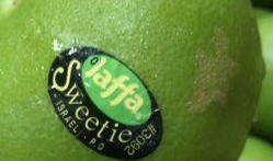 海南元宵吃瓜,甜蜜瓜果，共享团圆味