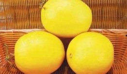 吃伊丽莎白瓜反胃,揭秘夏日美食背后的健康隐患