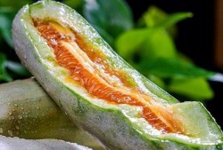 棱角瓜品种怎么吃,解锁健康美味新体验