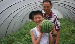 麒麟瓜夏季必吃,夏季必尝的清凉美味