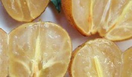 孕妇吃黄皮瓜,黄皮瓜的营养益处与食用指南