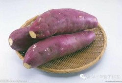 麦麦吃薯瓜,探寻地道风味与快乐时光