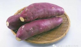 麦麦吃薯瓜,探寻地道风味与快乐时光