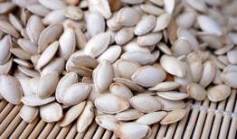 胃病睡前吃籽瓜行吗,适宜与否探讨