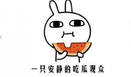 吃瓜可以怎么形容,吃瓜群众视角下的社会百态