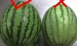 吃瓜视后,揭秘娱乐圈幕后风云