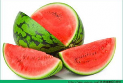 日照新营吃瓜,夏日吃瓜盛宴，尽享清凉时光