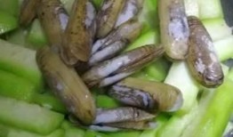 角瓜老了怎么吃,探索角瓜的“第二春”