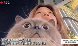 猫咪也吃瓜