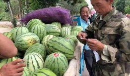 航宝吃瓜,揭秘娱乐圈那些不为人知的幕后故事