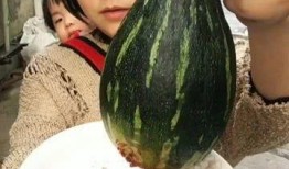 梦到吃瓜很好吃,瓜果飘香，美味尽享