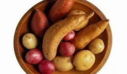 麦麦吃薯瓜,探寻地道风味与快乐时光